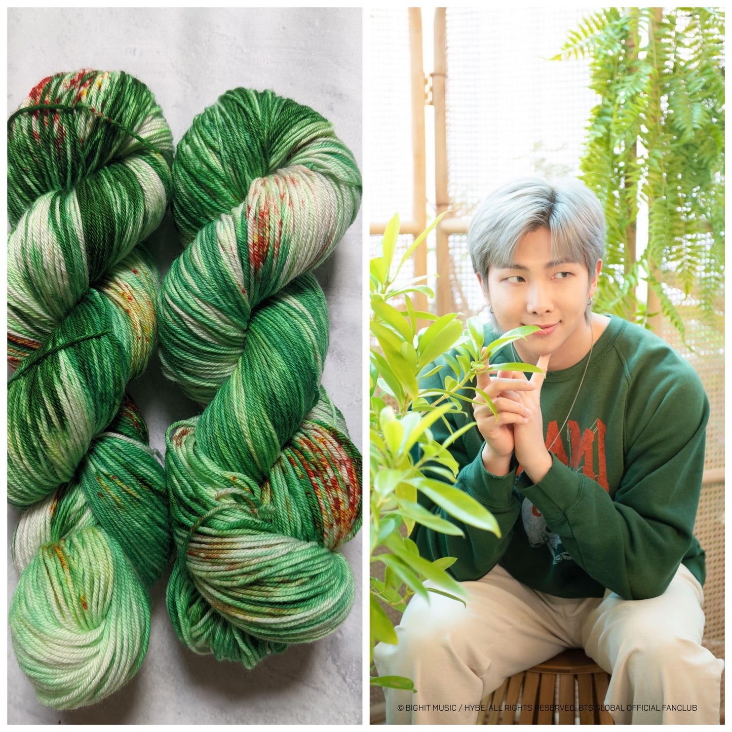 Plant Daddy - BTS Inspired